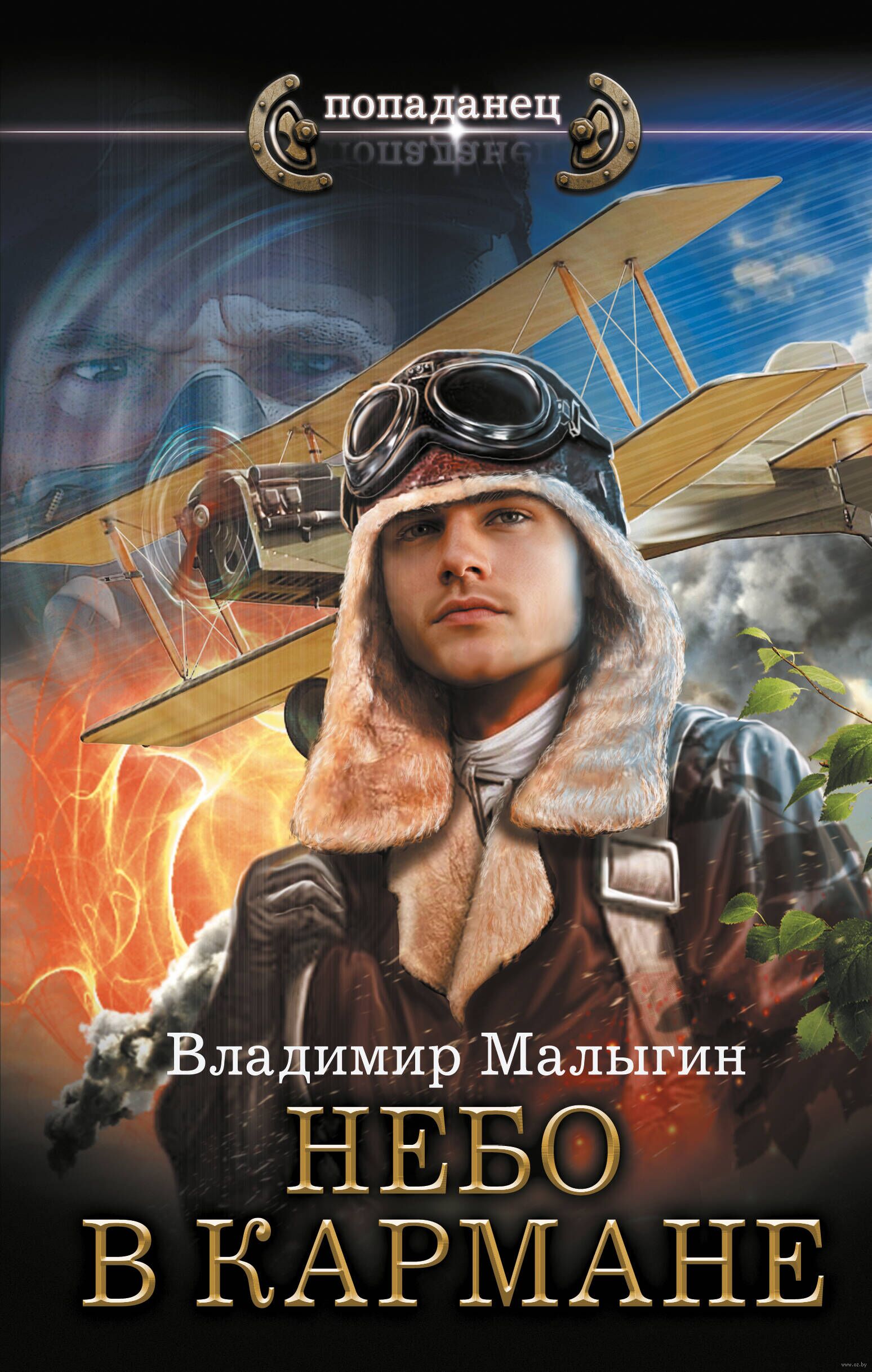 Читать книгу малыгин небо в кармане. Читать книгу малыгин небо в кармане
