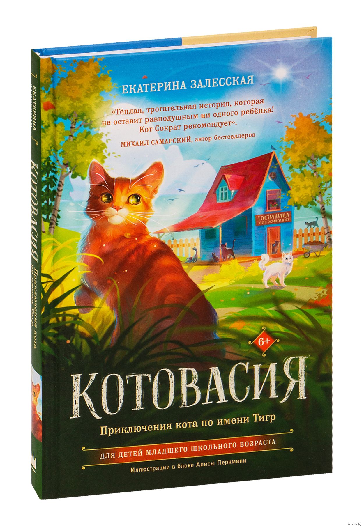 Котовасия. Приключения кота по имени Тигр Екатерина Залесская - купить  книгу Котовасия. Приключения кота по имени Тигр в Минске — Издательство АСТ  на OZ.by