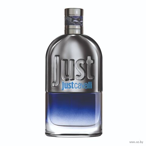 Туалетная вода мужская "Just For Him" (90 мл) — фото, картинка