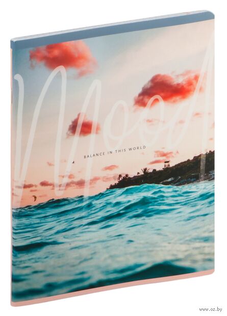 Тетрадь полуобщая в клетку "Mood" (48 листов) — фото, картинка