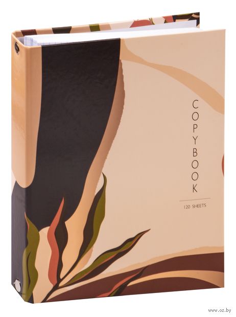 Тетрадь со сменным блоком "Vision" (120 листов) — фото, картинка