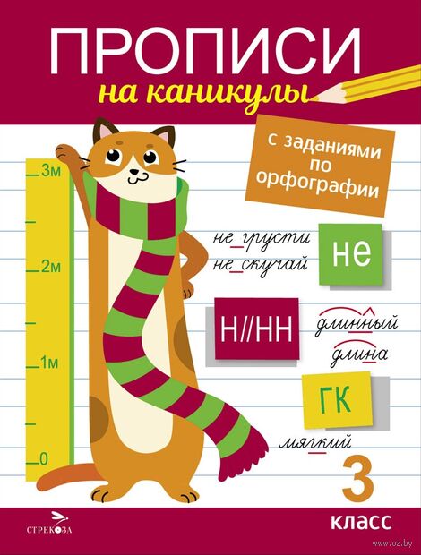 Прописи на каникулы с заданиями по орфографии. 3 класс — фото, картинка