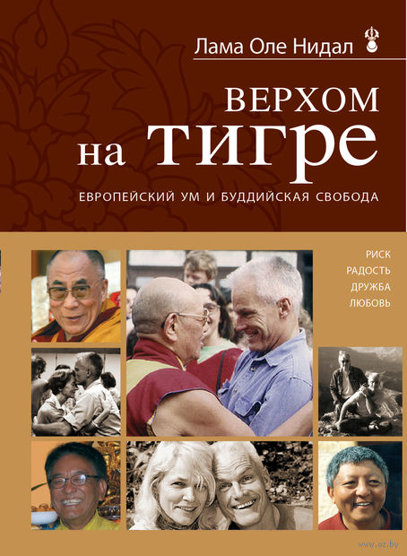 Книга Верхом на тигре. Европейский ум и буддийская свобода Обложка книги Верхом на тигре. Европейский ум и буддийская свобода