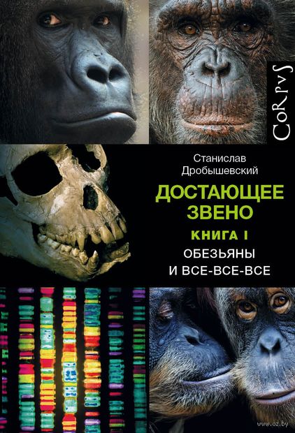 Достающее звено. Книга первая. Обезьяны и все-все-все — фото, картинка