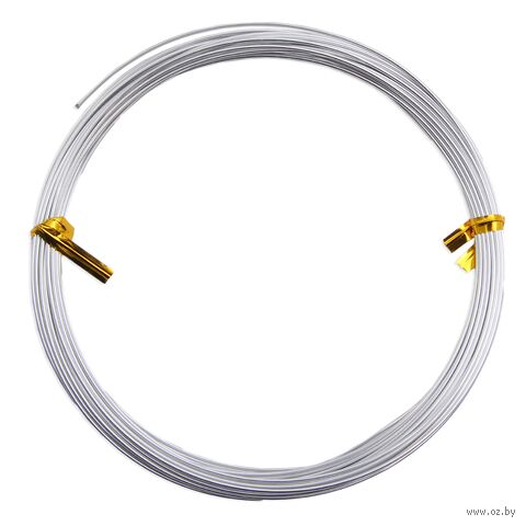 Проволока для рукоделия "Astra&Craft" (1 мм х 10 м; серебро) — фото, картинка