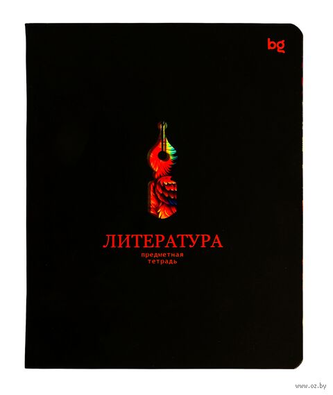 Тетрадь предметная "Информационное поле. Литература" (48 листов) — фото, картинка