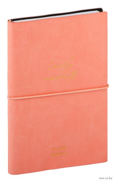 Ежедневник недатированный "Envelope. Coral" (100х170 мм; коралловый) — фото, картинка