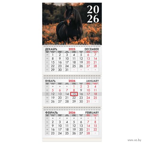 Календарь настенный квартальный на 2026 год "Символ года 3" (29,5х68,2 см) — фото, картинка