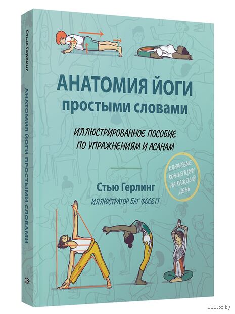 Анатомия йоги простыми словами: Иллюстрированное пособие по упражнениям и асанам — фото, картинка