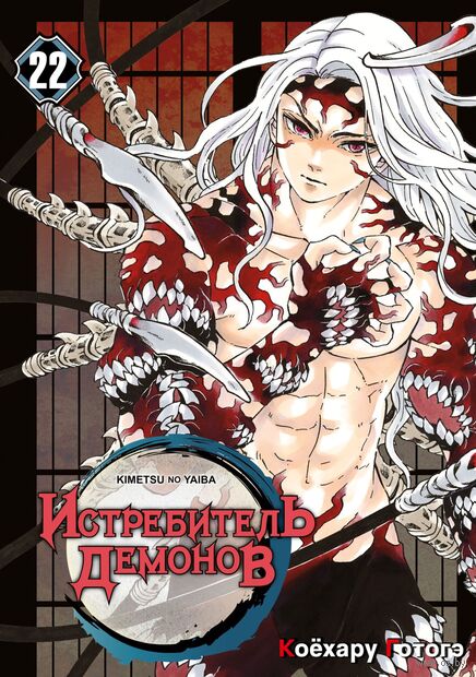 Истребитель демонов. Том 22. Круговорот судеб — фото, картинка
