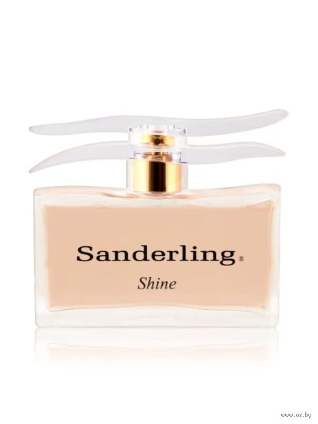 Парфюмерная вода для женщин "Soir de Fête" (100 мл) — фото, картинка