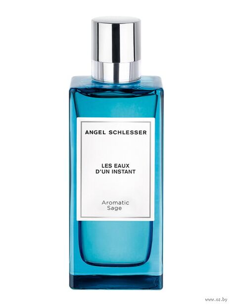 Туалетная вода для мужчин "Les Eaux d'un Instant Aromatisc Sage" (100 мл) — фото, картинка