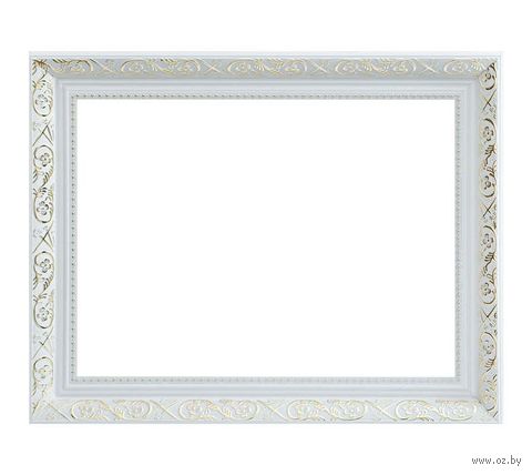 Рамка для картины по номерам "Flora" (30х40 см; серебряная) — фото, картинка