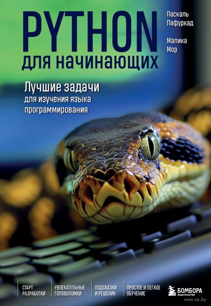 Python для начинающих. Лучшие задачи для изучения языка программирования — фото, картинка