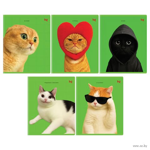 Тетрадь полуобщая в клетку "Во как!" (48 листов) — фото, картинка