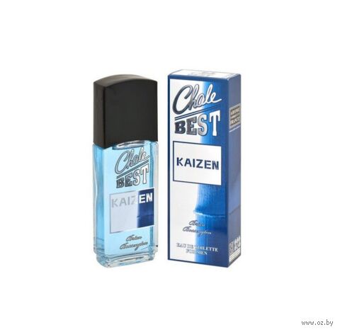 Туалетная вода для мужчин "Chale Best Kaizen" (95 мл) — фото, картинка
