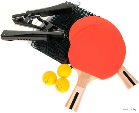 Набор для настольного тенниса (2 ракетки+3 мяча+сетка с креплением; арт. 798NSN3) — фото, картинка