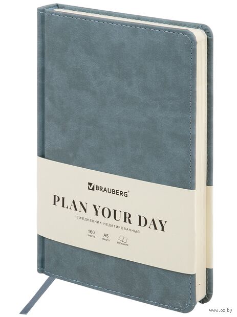 Ежедневник недатированный "Status" (А5; серо-голубой) Ежедневник недатированный "Status" (А5; серо-голубой) — фото, картинка